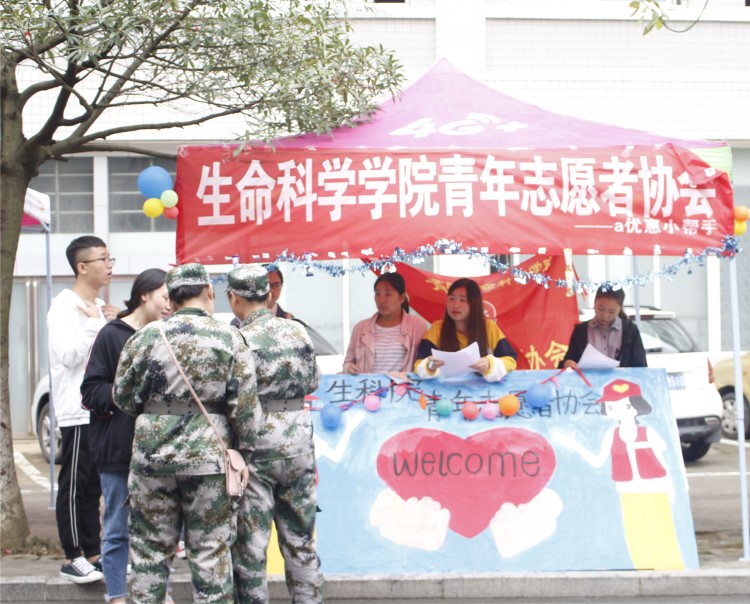 1946伟德官方网站